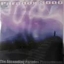 12inch Vinyl Single - Paradox 3000 - One Princeless Moment / Bump Body Bop
