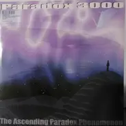 Paradox 3000 - One Princeless Moment / Bump Body Bop