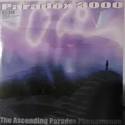 12inch Vinyl Single - Paradox 3000 - One Princeless Moment / Bump Body Bop