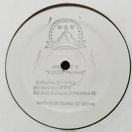 Paradise X - 2 Much (Remixes)