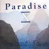 12'' - Paradise X Featuring Less Stress - 2 Much (Remixes)