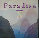 12inch Vinyl Single - Paradise X - 2 Much