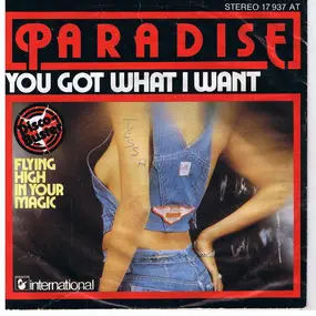 The Paradise - You Got What I Want