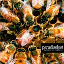 CD - Paradise Lost - Believe In Nothing