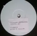 12inch Vinyl Single - Paradise Orchestra - Colour Me - Stickered