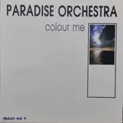 12inch Vinyl Single - Paradise Orchestra - Colour Me
