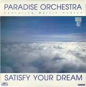 12inch Vinyl Single - Paradise Orchestra - Satisfy Your Dream