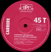 12inch Vinyl Single - Paradise Orchestra - Satisfy Your Dream