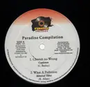 12inch Vinyl Single - Paradise Compilation - Cherish No Wrong / What A Pollution - RARE