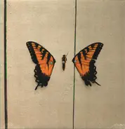 Paramore - Brand New Eyes