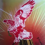 CD - Paris, Texas - Like You Like An Arsonist