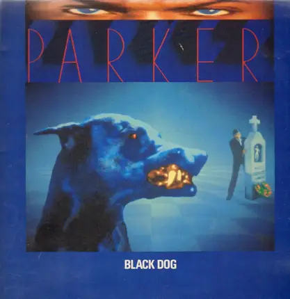Parker - Black Dog