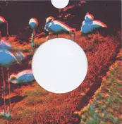 Parsley Sound - Platonic Rate