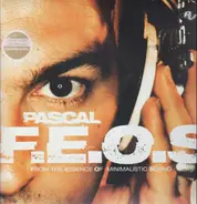 Pascal F.E.O.S. - From the Essence of Minimalistic Sound