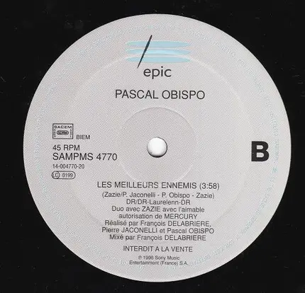 Pascal Obispo en duo avec Zazie - Les Meilleurs Ennemis