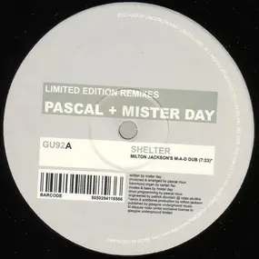 Pascal + Mister Day - Shelter (Remixes)