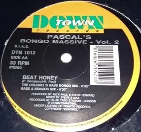Pascal's Bongo Massive - Volume II