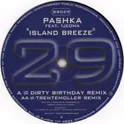 12inch Vinyl Single - Pashka Feat. Ijeoma - Island Breeze