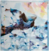 12inch Vinyl Single - Pass Into Silence - Calm Like A Millpond