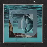 passEnger - Last Transmissions From Solaris