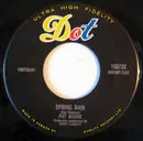 7inch Vinyl Single - Pat Boone - Spring Rain