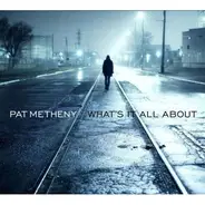 Pat Metheny - What's It All About