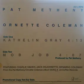 Pat Metheny - 'Kathelin Gray'/'Mob Job'
