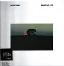 LP - Pat Metheny - Bright Size Life
