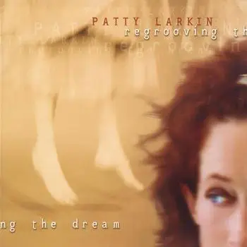 Patty Larkin - Regrooving the Dream