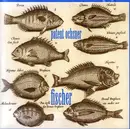 CD - Patent Ochsner - Fischer