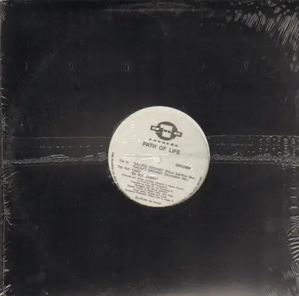 Path Of Life - Sacred Ground