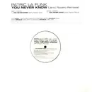 12'' - Patric La Funk - You Never Know (Jerry Ropero Remixes)