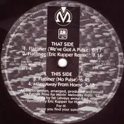 Patrick Prins - Flatliner