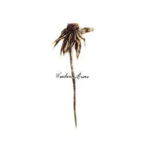 Patrick Watson - Wooden Arms
