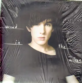 Patrick Wolf - Wind in the Wires