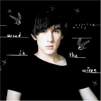 Patrick Wolf - Wind in the Wires