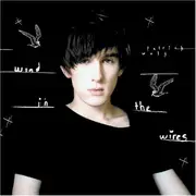 CD - Patrick Wolf - Wind In The Wires