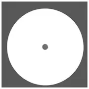 12inch Vinyl Single - Paul M. - The Hobbyist