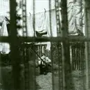 CD - Paul McCartney - Chaos And Creation In The Backyard