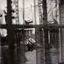 LP - Paul McCartney - Chaos And Creation In The Backyard - Gatefold, incl. 4 Inserts, 1st EU Press