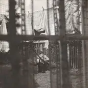 CD - Paul McCartney - Chaos And Creation In The Backyard