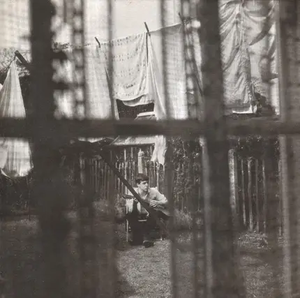Paul McCartney - Chaos and Creation in the Backyard