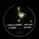 12inch Vinyl Single - Paul B & Subwave / Garon - What U Want / Raw Power