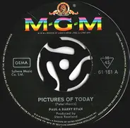 Paul & Barry Ryan - Pictures Of Today