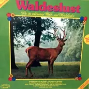 Paul Biste - Waldeslust - Die 20 Schönsten Wald- Und Heidelieder