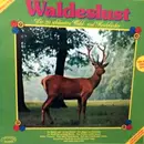 LP - Paul Biste - Waldeslust - Die 20 Schönsten Wald- Und Heidelieder - Gatefold