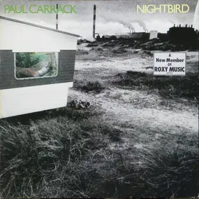 Paul Carrack - Nightbird