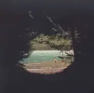 Paul Duncan - Above the Trees