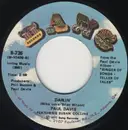 7inch Vinyl Single - Paul Davis - Darlin'