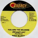 7inch Vinyl Single - Paul Elliot - You Are The Meaning
